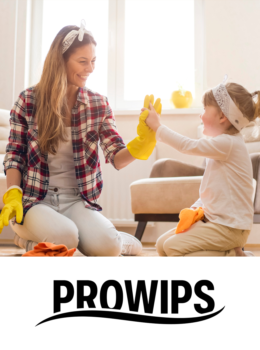 PROWIPS - Haushaltsprofis