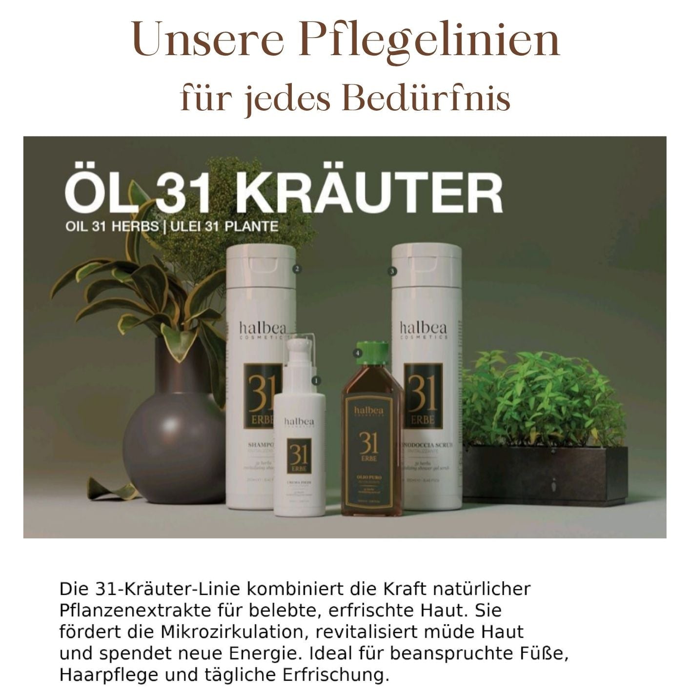 Halbea - 31 Kräuter Öl Shampoo Revitalisierende Haarpflege - Detox für gesundes Haar