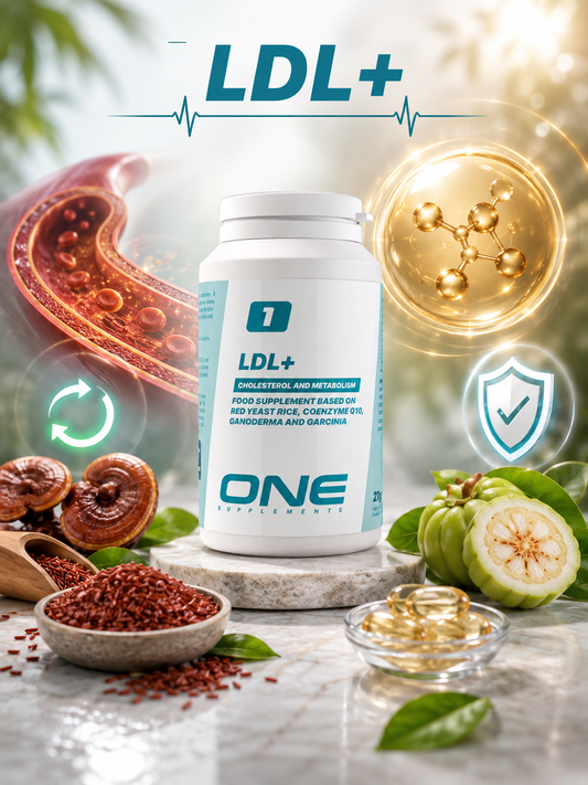 ONE Supplements - LDL+ - Nahrungsergänzungsmittel zur Unterstützung normaler Cholesterinwerte