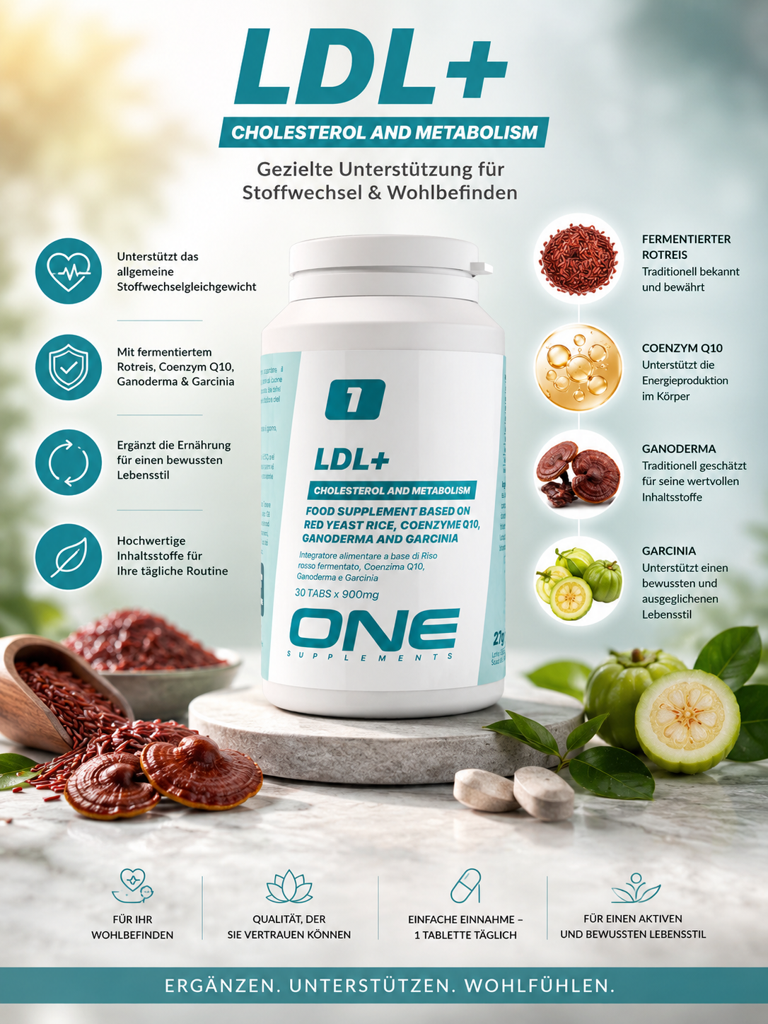 ONE Supplements - LDL+ - Nahrungsergänzungsmittel zur Unterstützung normaler Cholesterinwerte